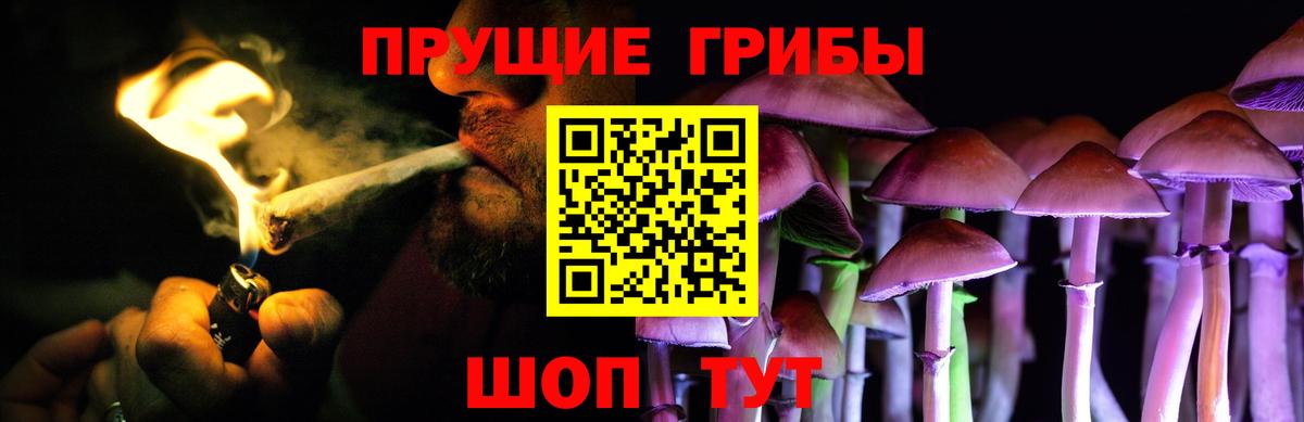 Псилоцибиновые грибы Magic Shrooms Кандалакша